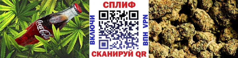 как найти   Якутск  Canna-Cookies конопля 