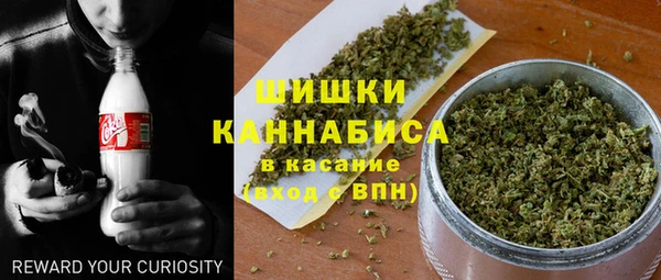 ГАЛЛЮЦИНОГЕННЫЕ ГРИБЫ Алексин