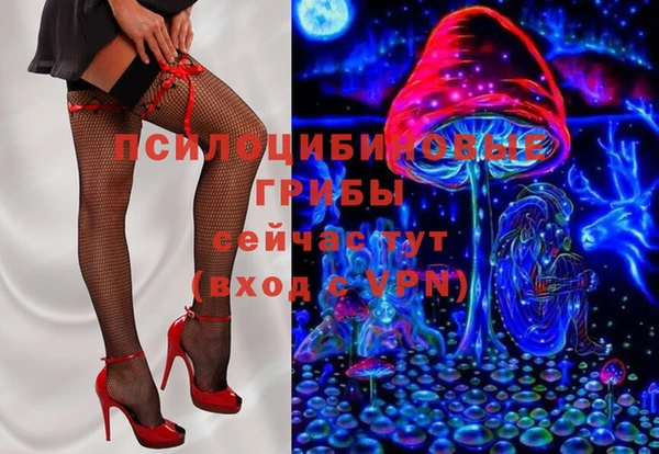 гашик Абаза