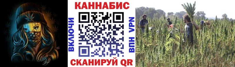 hydra зеркало  продажа наркотиков  Якутск  Каннабис гибрид 